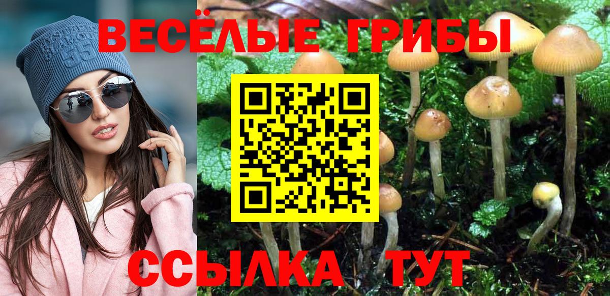 Псилоцибиновые грибы ЛСД  Вход с VPN  Еманжелинск 